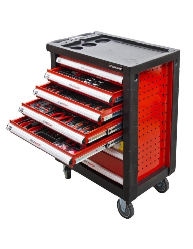 CHARIOT ATELIER 391PCS OUTILS CAISSE ROULETTES ROULANT SERVANTE HOLZMANN WW790W