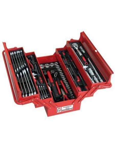 Caisse metallique avec 86 outils HOLZMANN wzk86crv