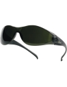 LUNETTES DE PROTECTION POUR LE TRAVAIL DELTAPLUS PACAYA