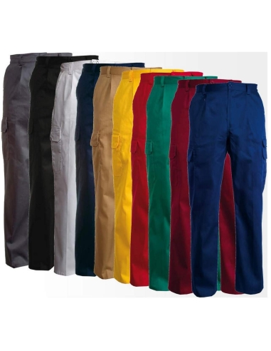 Pantalon De Travail Homme Coton Payper Cargo+