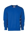 Sweat-Shirt Encolure Ras Du Cou Pour Homme Coton Manche Raglan Payper Orlando