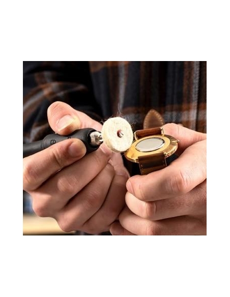 Touret a meules double equipe de mandrin et tuyau flexible Scheppach hg35