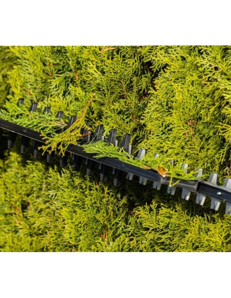 Tagliasiepi 2x20v 4 batteria 4.0Ah doppio caricatore ixes Scheppach bc-ht720-x