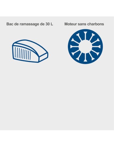 Rasaerba 20v 32cm 2 batterie 2.0Ah + caricabatteria ixes Scheppach bc-mp320-x