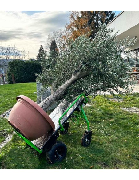 Carrello elettrico a batteria 40v 350w 260kg Zipper zi-et260