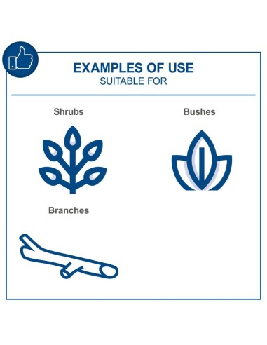 Mini tronconneuse 20V 2 batteries 4.0Ah + chargeur ixes Scheppach bc-ps150-x