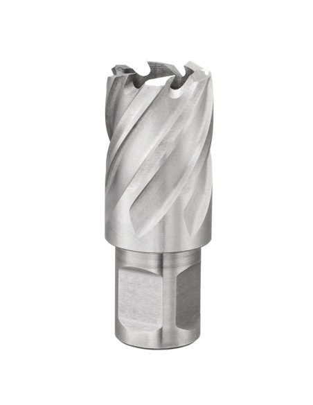 Fresa a tazza con attacco weldon 50 mm Fervi f011/50