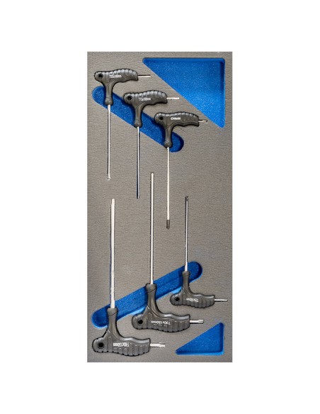 Serie 6 chiavi torx con manico t10-t40 in termoformato morbido Fervi tm01/014