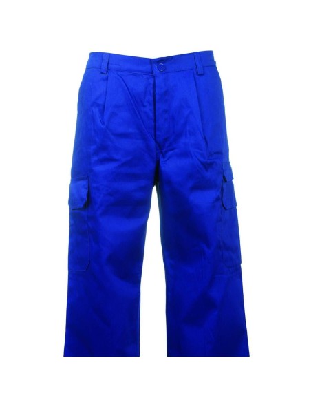 PANTALON DE TRAVAIL HOMME COTON PAYPER CARGO+ unisex