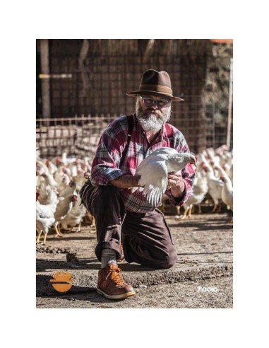 CHAUSSURES DE SECURITE TRAVAIL BASS DIKE RAVING RACY S3 SRC 26012