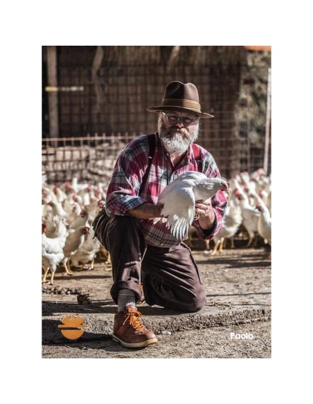 CHAUSSURES DE SECURITE TRAVAIL HAUTE DIKE RAVING RACY H S3 SRC 26022