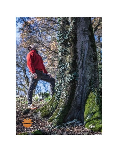 CHAUSSURES DE SECURITE TRAVAIL BASS DIKE SUMMIT SUPERB S3 SRC 27011