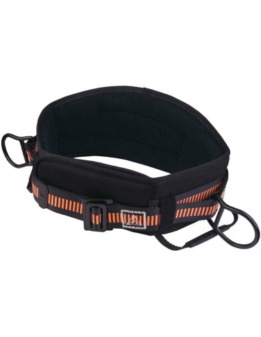 CEINTURE DE MAINTIEN AVEC LARGE VELCRO - 2 POINTS D'ACCROCHAGE DELTAPLUS EX220