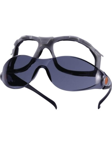 LUNETTES DE PROTECTION POUR LE TRAVAIL DELTAPLUS PACAYA