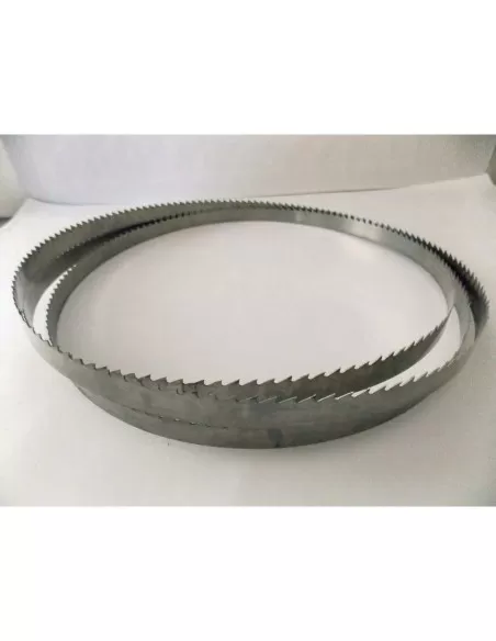 Lama Sega Nastro Duratech 30X0,70 Taglio Legno