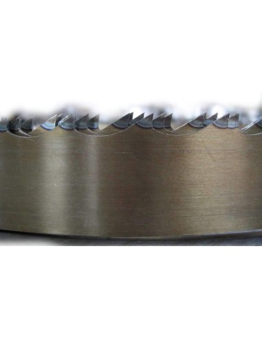 Lame Scie A' Ruban Pour La Viande Et Os Boucherie 16X0,50 Mm