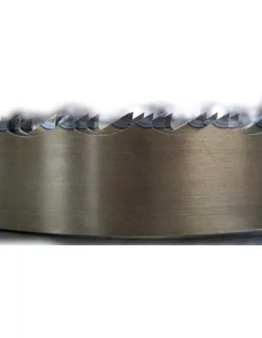 Lame Scie A' Ruban Pour La Viande Et Os Boucherie 20X0,50 Mm