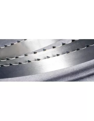 Lame Scie A' Ruban Pour La Viande Et Os Boucherie 20X0,50 Mm