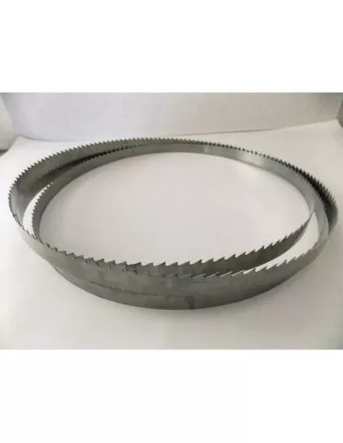 Lama Sega Nastro Duratech 25X0,70 Taglio Legno