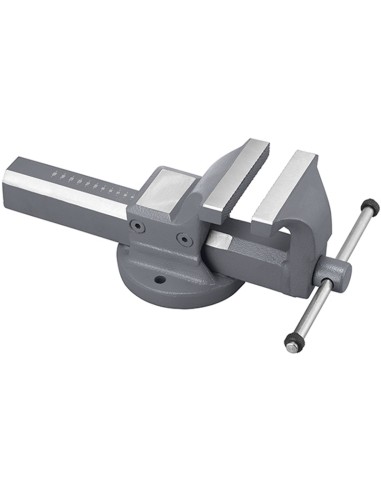 Etau d'etabli en acier de 100 mm Fervi 0135/100