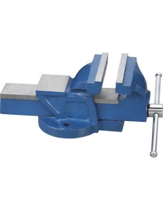 Morsa da banco 100 mm in ghisa Fervi 0174/125