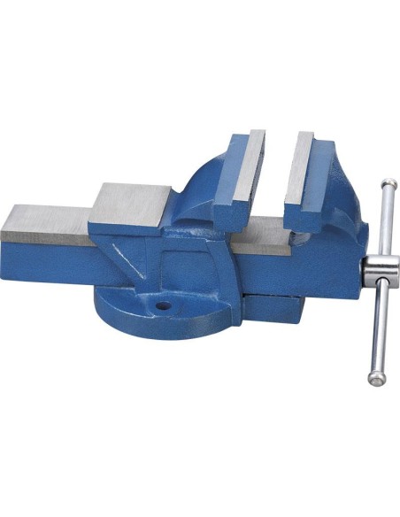 Morsa da banco 100 mm in ghisa Fervi 0174/125