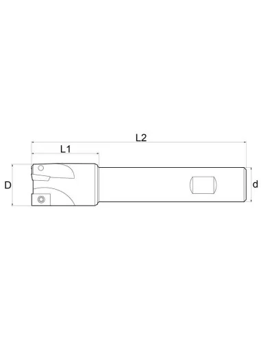 Inserer un coupeur Insert cutter Fervi f300/18