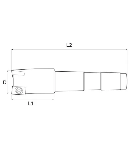 Inserer un coupeur Insert cutter Fervi f301/32