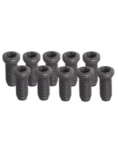 Jeu de 10 vis t15 - m3 Set of 10 screws t15 - m3 Fervi kv200 x utensile tornio