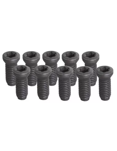 Jeu de 10 vis t20 - m4 Set of 10 screws t20 - m4 Fervi kv200 x utensile tornio