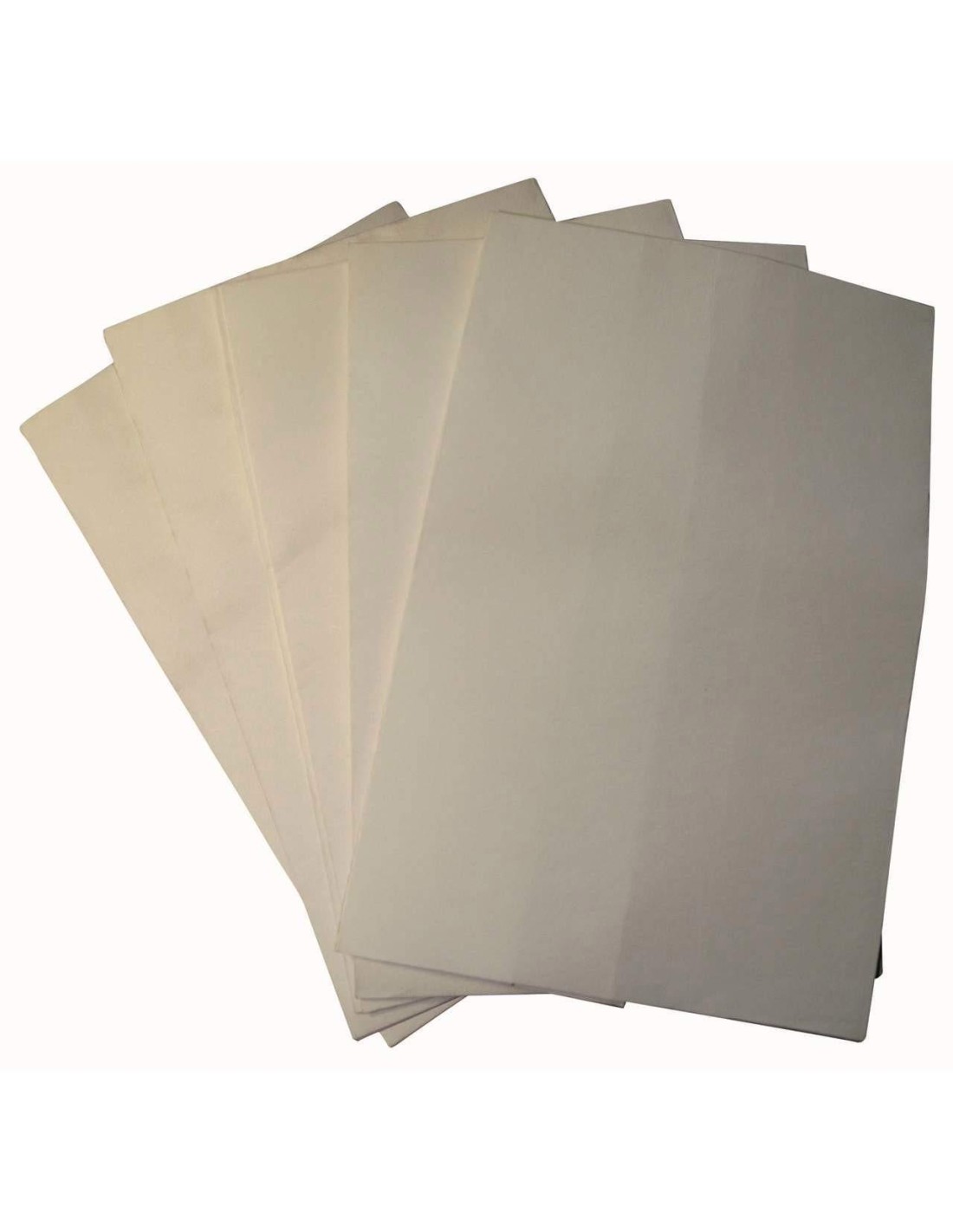 Sacs de rechange 5 pieces pour aspirateur Scheppach ha1000