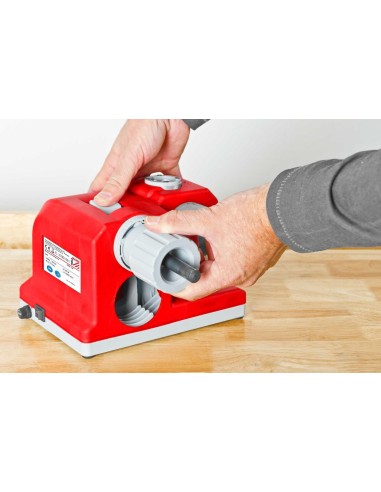 AFFUTEUSE DE FORETS ET MECHES FORETS 3-13mm MONTAGE EN BANC HOLZMANN BSG13E_230V