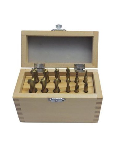 1 - Jeu de 12 fraises 2-4 coupes de finition Holzmann ffs10