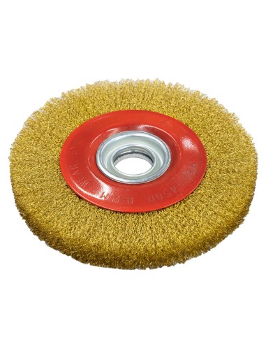 1 - Brosse circulaire pour meuleuse d'etabli 200x25x32 Holzmann dsm200db