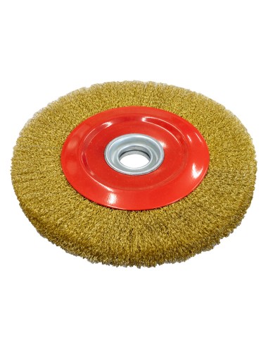 1 - Brosse circulaire pour meuleuse d'etabli 250x25x32 Holzmann dsm250db