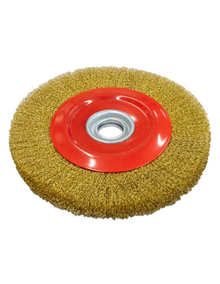 1 - Brosse circulaire pour meuleuse d'etabli 250x25x32 Holzmann dsm250db