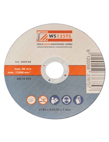 2 - Jeu de 10 disques a tronconner abrasifs pour metaux 125x1 mm