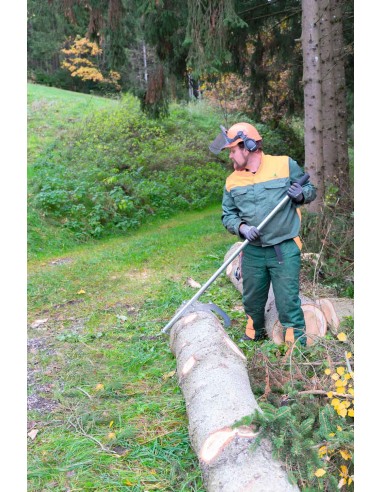Crochet pour manipuler des buches de bois Holzmann weha1