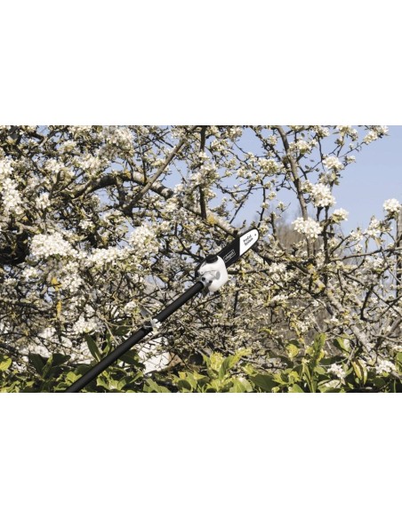 3 - Débroussailleuse essence sécateur taille haie coupe-bordure Scheppach mfh5200-4p