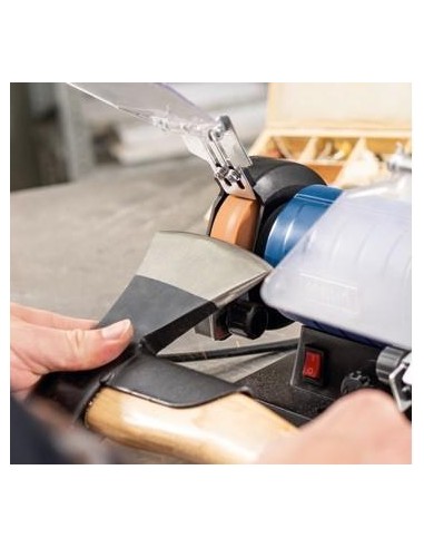 5 - Touret a meules double equipe de mandrin et tuyau flexible Scheppach hg35