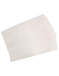 Sacs en papier accessoires optionnels 5 pc pour aspirateur Scheppach dc100