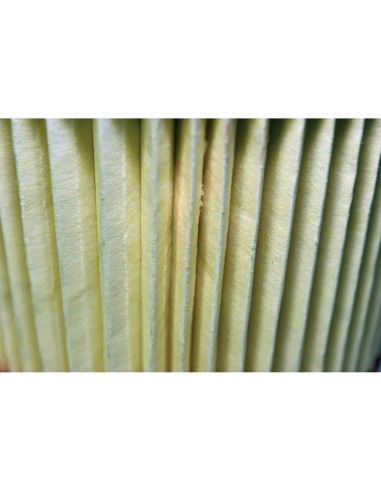 2 - Filtre accessoires optionnels pour aspirateur Scheppach ha1000