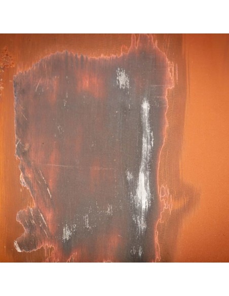 3 - Brosse abrasif en fibre metal 100 x 125 pour surfaceuse Scheppach mrs1300