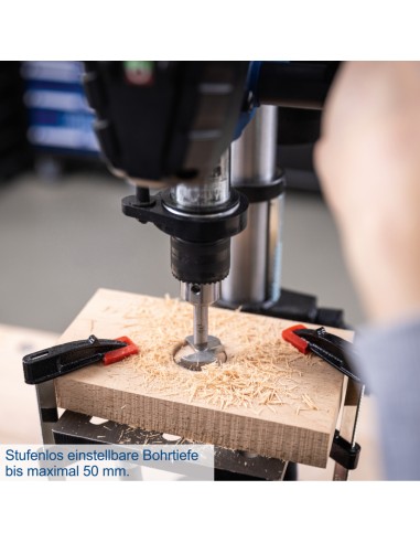 3 - Perceuse a colonne 550 W Scheppach TBM250