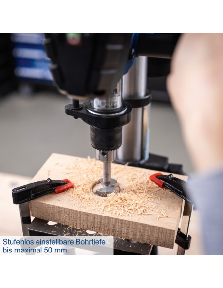 3 - Perceuse a colonne 550 W Scheppach TBM250