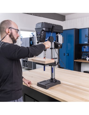 Perceuse a colonne 600 W Scheppach TBM250Vario