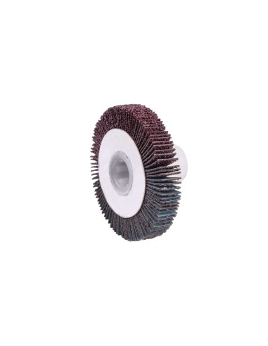 1 - Brosse abrasive adaptee pour satinatrice mrs500 Scheppach