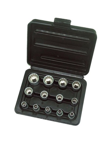 1 - Set de 13 cles a douille 1/4 multilock Fervi 0795/1
