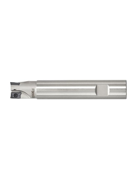 2 - Inserer un coupeur Insert cutter Fervi f300/32/16l