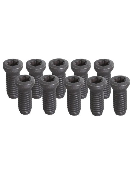 1 - Jeu de 10 vis t20 - m4 Set of 10 screws t20 - m4 Fervi kv200 x utensile tornio